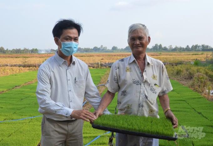Ông Trương Tấn Trị (bên phải), thành viên tổ dịch vụ máy cấy Hợp tác xã Nông nghiệp Bình Hiếu và Trưởng trạm Khuyến nông thị xã Long Mỹ Trần Hoàng Phúc đang kiểm tra mạ chuẩn bị cấy cho vụ lúa hè thu 2022. Ảnh: Trung Chánh.