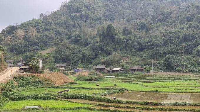 Bản Cháo là một thôn vùng sâu, vùng xa của xã Yên Cư, huyện Chợ Mới, tỉnh Bắc Kạn. Ảnh: Toán Nguyễn .