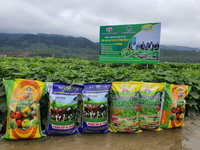 Sử dụng phân bón hữu cơ giúp tiết kiệm chi phí đầu vào, đạt hiệu quả cả về kinh tế lẫn môi trường. Ảnh: Hoàng Anh. 
