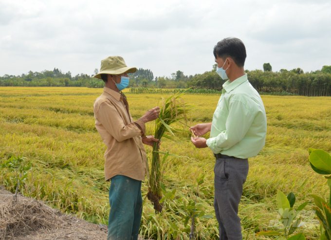 Ông Đặng Văn Dũng (bên trái) cùng anh Danh Kết, cán bộ kỹ thuật nông nghiệp của xã Ngọc Chúc ra thăm ruộng rúa được VnSAT hỗ trợ. Ảnh: Trung Chánh.