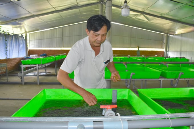 anh-1-1524_20220217_348.jpg Ông Phạm Hoàng Minh, Chủ tịch HĐQT, kiêm Giám đốc HTX Sản xuất và Tiêu thụ lươn Công nghệ cao Sông Măng Vĩnh Long là thành viên nồng cốt phát triển HTX. Ảnh: Minh Đảm.