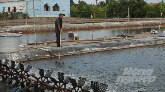 Kỹ thuật nuôi tôm thẻ chân trắng, bà con trông chờ toàn bộ từ phía các công ty bán con giống, thức ăn thuỷ sản hỗ trợ. Ảnh: Minh Sáng.