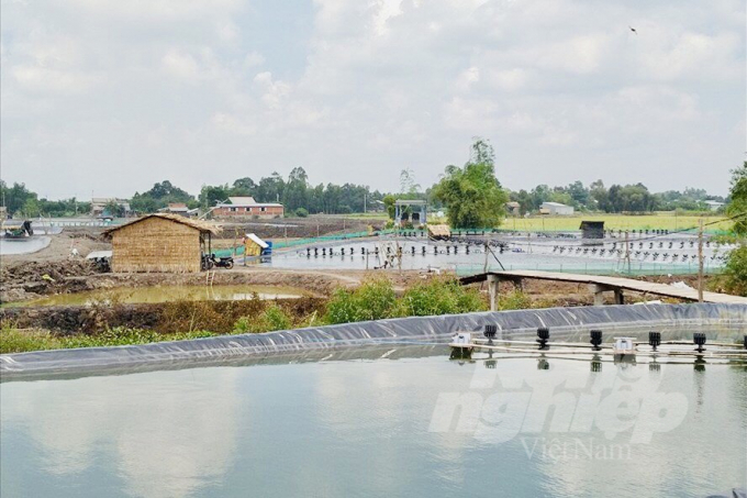 watermark_z3245197802070_d1bed0985dc8e7ae6be565830e0b6bb5-1750_20220309_744.jpg Việc người dân liên lục mở rộng diện tích nuôi cá tiềm ẩn rất nhiều rủi ro và bài học đã được rút ra từ việc nuôi cá tra giống khiến nhiều người dân thua lỗ phải trở lại nghề trồng lúa. Ảnh: MS.