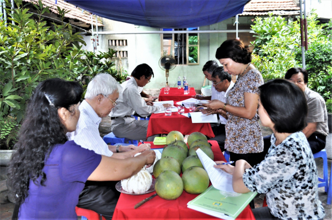watermark_chon-cay-dau-dong-1643_20220401_576.jpg Chọn cây đầu dòng. Ảnh: Tư liệu.
