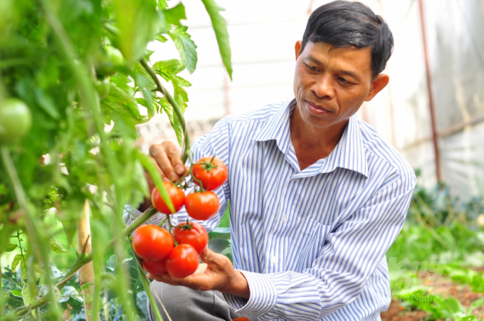 canh-tay-phai-giup-hop-tac-xa-nong-nghiep-bat-kip-xu-the-1659_20220408_540.jpeg Ứng dụng khoa học công nghệ, chuyển đổi số trong kinh doanh là xu thế mà các HTX không thể đứng ngoài và cần tận dụng để nắm bắt cơ hội. Ảnh: Minh Hậu.