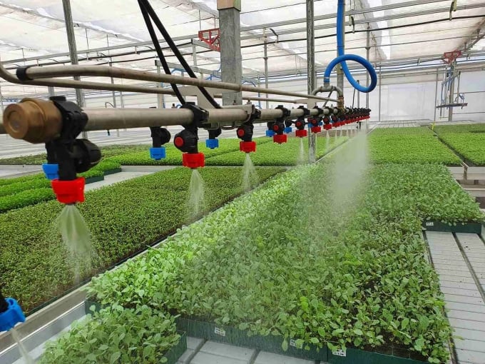Các HXT rất cần được cung cấp các dịch vụ như thông tin sản xuất, tư vấn sản xuất... để hướng tới phát triển nông nghiệp sinh thái… Ảnh: TL.