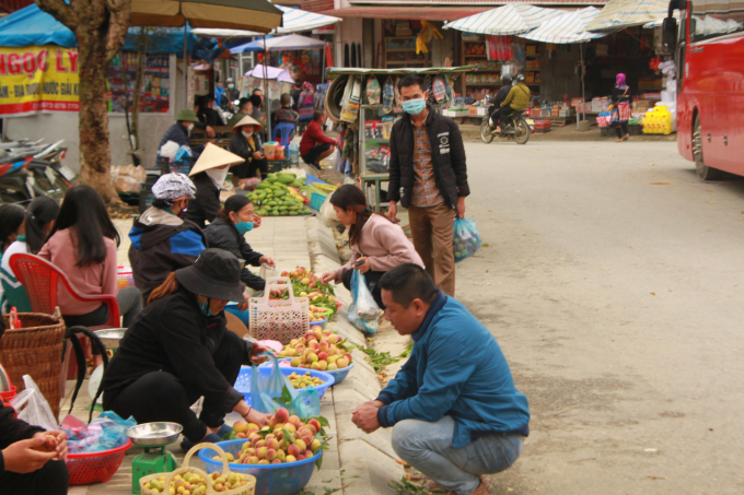 214913342-214913.jpg Anh Phạm Văn Phương (áo xanh), khách du lịch đến từ Bắc Ninh chọn mua đào về làm quà nhân chuyến du lịch lên 'cao nguyên trắng' Bắc Hà vào mùa đào chín. Ảnh: Xuân Cường.