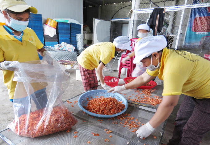 Thu mua và chế biến thủy sản tại HTX chế biến thủy sản Vương Đoàn. Ảnh: T.P