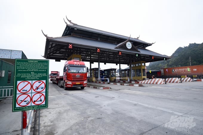 In the first 4 months of 2022, the US is Vietnam's largest agricultural export market, followed by China. Photo: Tung Dinh.