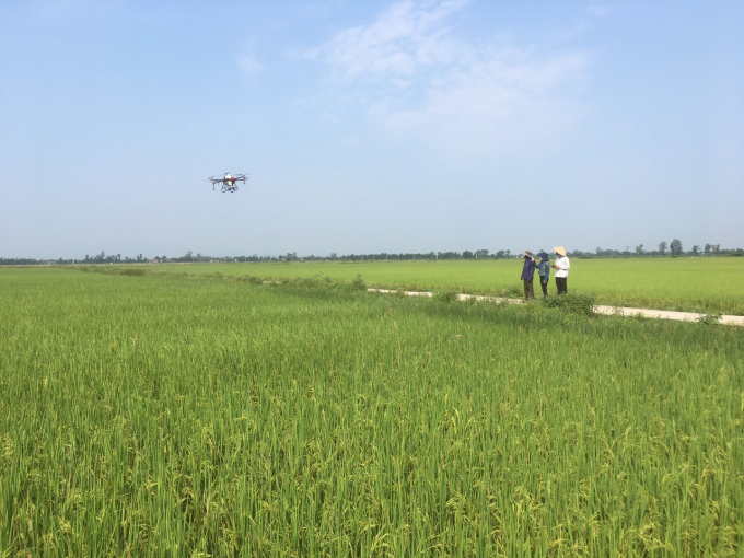 16162246may_bay_khong_nguoi_lai_phun_che_pham_mo_hinh_lua_huu_co-161622.jpg Quá trình giám sát sản xuất, phun thuốc BVTV được sử dụng bằng thiết bị bay không người lái để giảm công lao động cho nông dân. Ảnh: Việt Toàn.
