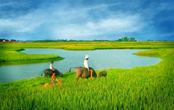 song-que-1351_20220512_536.jpg Ảnh minh họa.