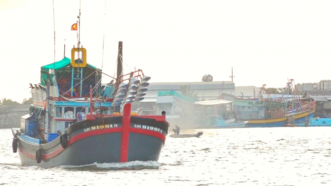 Decree No.67 of the Government on some fisheries development policies has many beneficial policies for fishers. Photo: Kim Anh.