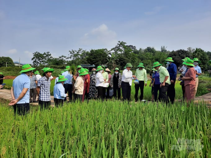 watermark_z3422768153088_930bbfecd615ef607aa7d3592fc9c1a3-1302_20220518_972.jpg Các đại biểu tham quan mô hình. Ảnh: Hoàng Tuyên.
