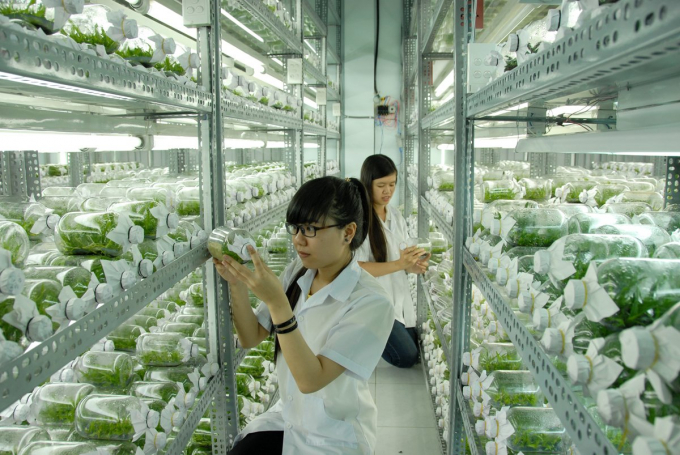 Lực lượng các nhà khoa học, nhất là các nhà khoa học trẻ có chuyên môn cao, tâm huyết với nghề nghiệp ngày càng ít. Ảnh: Minh Sáng.