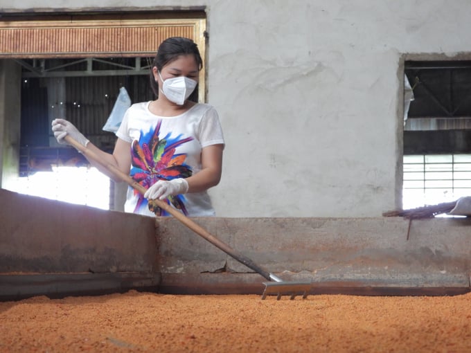không chỉ là một loại gia vị,muối tôm còn mang dấu ấn lịch sử văn hoá của vùng đất Tây Ninh. Ảnh: Trần Trung.