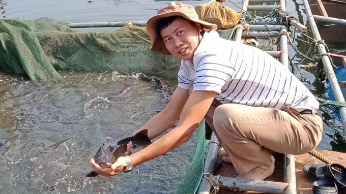 Thành công của mô hình sẽ mở ra nhiều triển vọng để phát triển nuôi cá lồng bè trên lòng hồ thủy điện ở Lào Cai. Ảnh: Lưu Hòa.