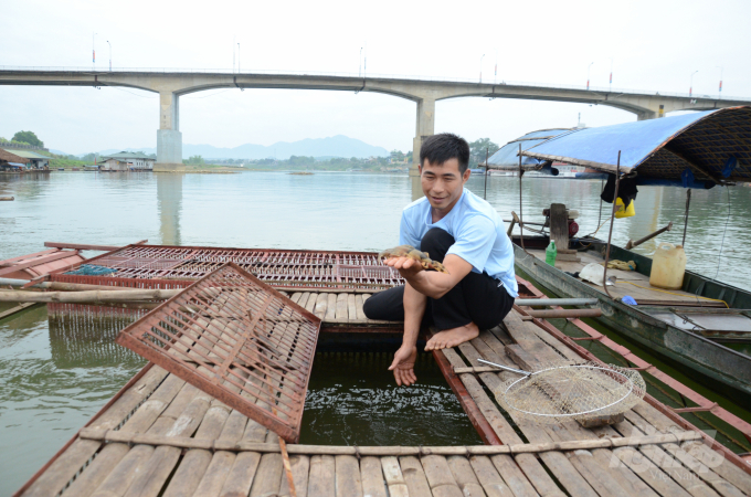 watermark_dsc_4312-2127_20220531_204.jpg Việc chủ động được nguồn giống chất lượng đã và đang giúp nhiều hộ nuôi cá lồng ở Tuyên Quang có thêm điểm tựa phát triển chăn nuôi thuỷ sản. Ảnh: Đào Thanh.