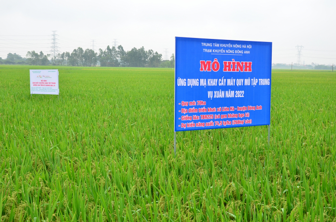 dsc_0077-1647_20220613_547.jpg Mô hình mạ khay máy cấy ở xã Liên Hà, huyện Đông Anh. Ảnh: NNVN.