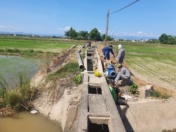 phu-yen-cap-toc-cuu-lua-he-thu-0900_20220626_38.jpg Lắp đặt máy bơm để tưới cho lúa bị khô hạn. Ảnh: KS.