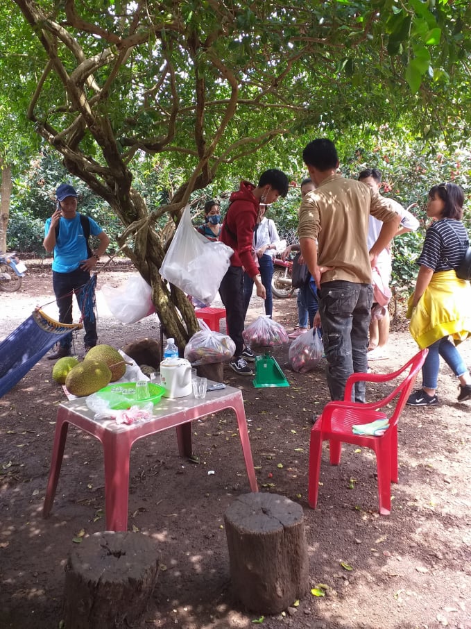 Một điểm dừng chân trong vườn chôm chôm. Ảnh: Bích Ngọc.