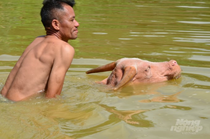 watermark_dsc_0290-1753_20220630_608.jpg Cõng chủ trên lưng. Ảnh: Dương Đình Tường.