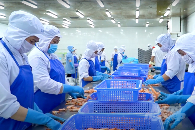 Chế biến thủy sản xuất khẩu. Ảnh: Thanh Sơn.