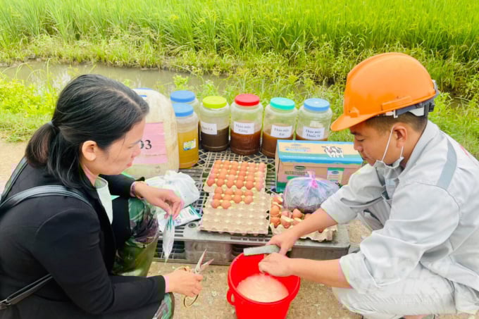 Cung cấp dinh dưỡng cho cây trồng có nguồn gốc thảo dược và sản phẩm nông nghiệp. Ảnh: Công Điền.
