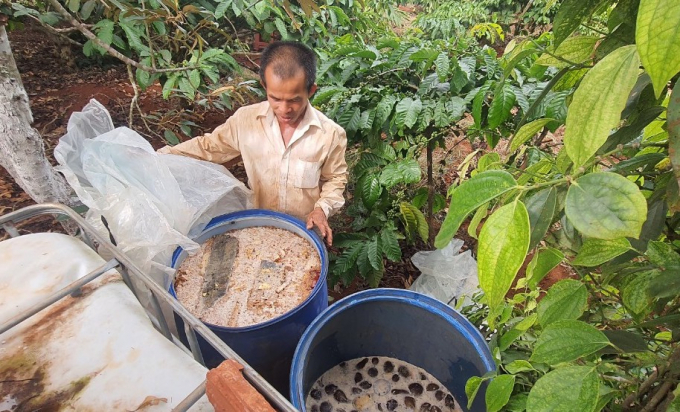 Ông Nguyễn Tấn Lục kiểm tra thùng men vi sinh để ủ phân hữu cơ. Ảnh: Tuấn Anh.