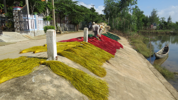 14072834img_2292-140728.jpg Phơi lác nhuộm ven đầm Ô Loan. Ảnh: Mạnh Hoài Nam.