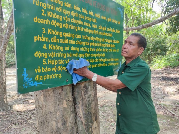 Những vạt rừng còn lại của Tây Nguyên vẫn đang hàng ngày đứng trước mối đe dọa. Ảnh: Tuấn Anh.