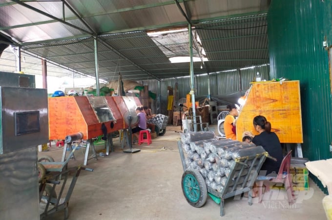 Nhân viên HTX Nông nghiệp Yên Công đóng phôi nấm. Ảnh: Công Hải.