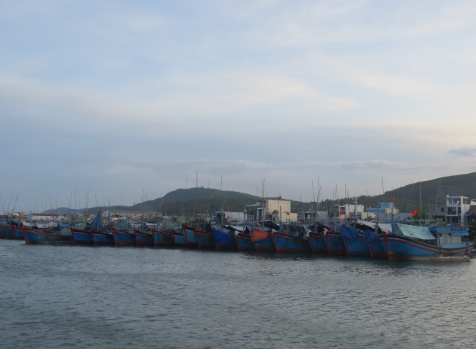 Tàu cá của ngư dân Phổ Thạnh nằm bờ vì xăng dầu tăng giá. Ảnh: Thanh Kỳ.