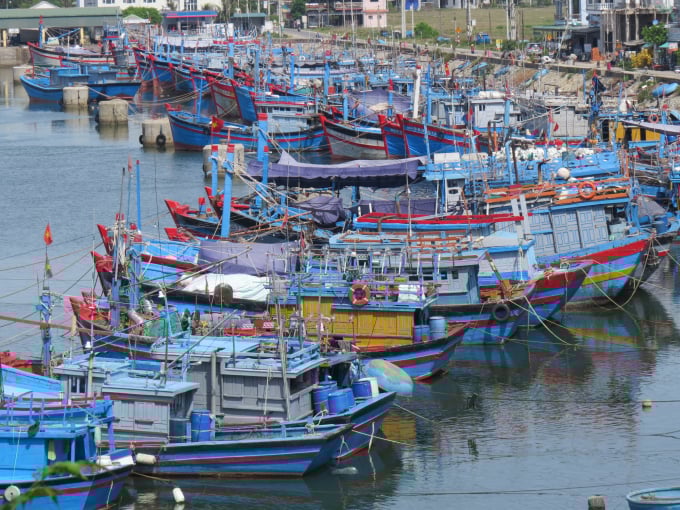 Tàu thuyền neo đậu tại bến cá Mỹ Á. Ảnh: Thanh Kỳ.