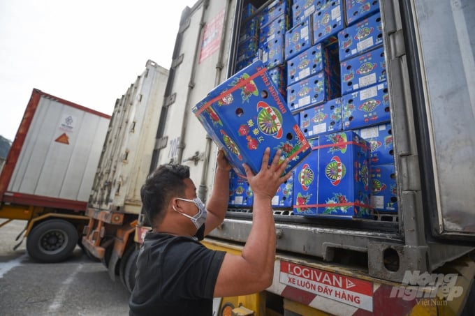 Handbook guiding the official entry of vegetables and fruits into China's market provides information on product standards, packaging, transactions, agreements, and payment methods... Photo: Tung Dinh. 