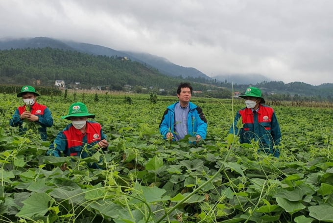 Theo ông Lê Văn Dũng (thứ 2 từ phải sang), Phó Giám đốc Sở NN-PTNT Vĩnh Phúc, nông nghiệp hữu cơ là cuộc cách mạng mới trên quê hương khoán hộ. Ảnh: Hoàng Anh.