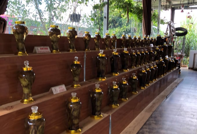 12-1714_20220808_451.jpg Sản phẩm rượu ngâm rễ atisô. Ảnh: Hải Tiến.