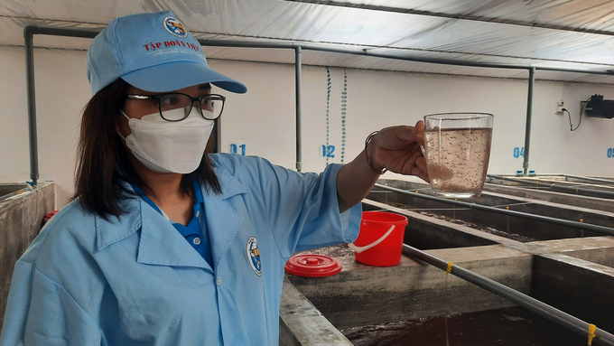 High-tech shrimp seed VUS LEADER 21 of Viet Uc Seafood Corporation stands out with superb traits. Photo: Nguyen Thanh.