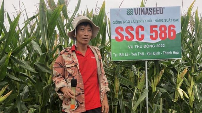 Nông dân Nguyễn Xuân Thắng (xã Yên Thái, Yên Định, Thanh Hóa chia sẻ về giống Ngô sinh khối tại buổi khảo nghiệm thực tế.
