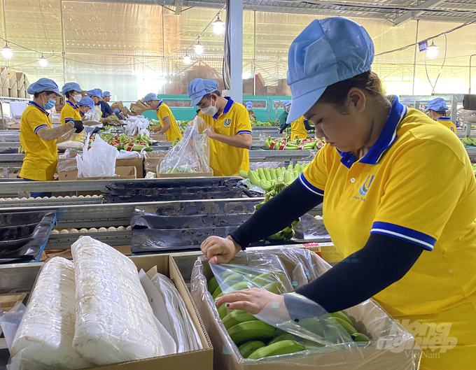 nhan-vien-union-trading-dang-dong-hang-chuoi-gia-nam-my-cho-dole-2