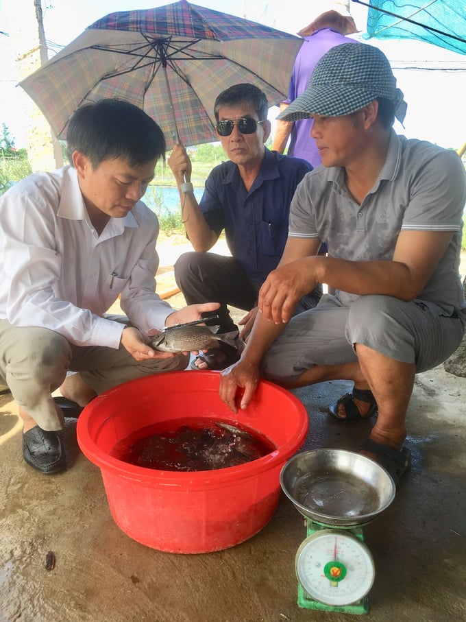 anh-thuong-va-ong-phan-van-phuong-dang-kiem-tra-ca-mo-hinh-1737_20220913_652.jpg Empty
