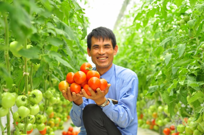 watermark_lam-dong-day-manh-mo-hinh-nong-nghiep-cong-nghe-cao-1051_20220222_444-132459-1505_20220228_236.jpeg Empty