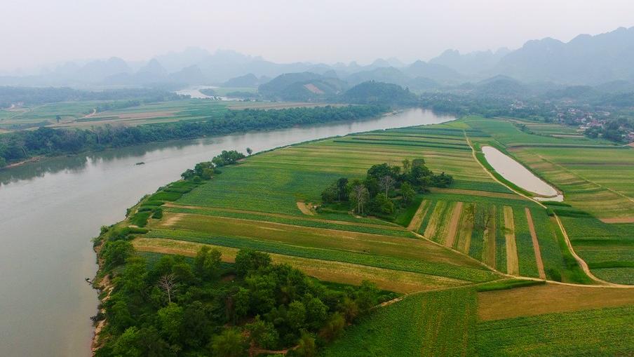 Cánh đồng đất bãi ven sông Lam ở Anh Sơn phủ những mảng màu xanh tươi như tranh vẽ. Ảnh: Sách Nguyễn