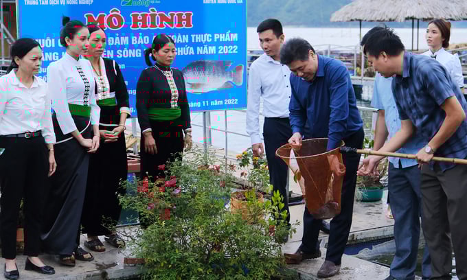 nuoi-ca-ro-phi-thu-loi-tram-trieu-dong-moi-long-1841_20221113_993.jpg BATH5845