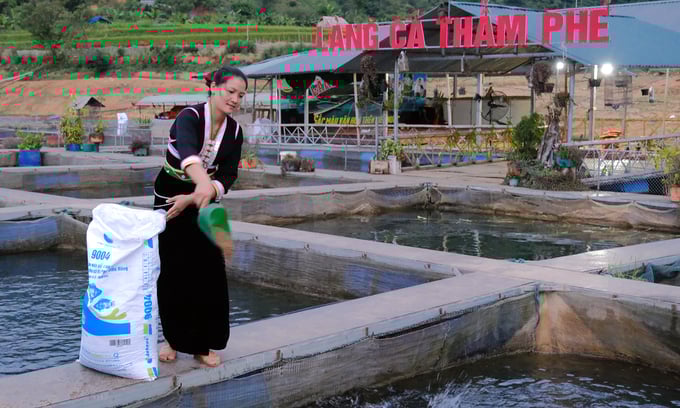nuoi-ca-ro-phi-thu-loi-tram-trieu-dong-moi-long-1842_20221113_398.jpg BATH5891