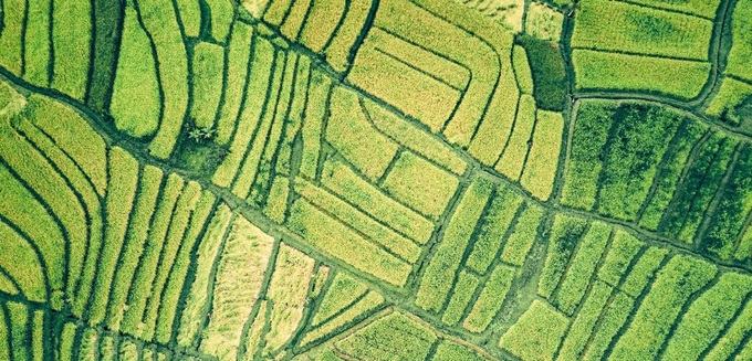 Chuyển đổi canh tác theo hướng chất lượng cao, giảm phát thải đang là xu hướng toàn cầu, được các tổ chức quốc tế đặc biệt quan tâm. 