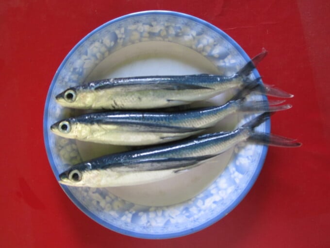 13461732cm_1_ca_chuon-134617.jpg Empty