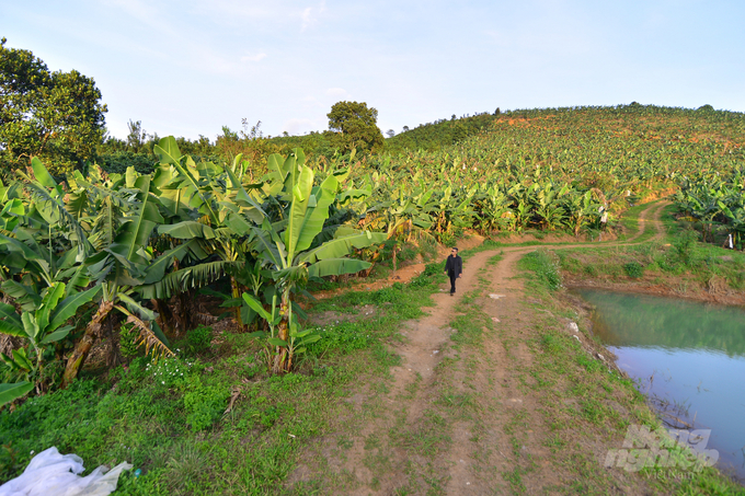 watermark_phat-trien-san-pham-ocop-gan-voi-vung-nguyen-lieu-lien-ket-chuoi-1109_20221218_724.jpg DSC_7968