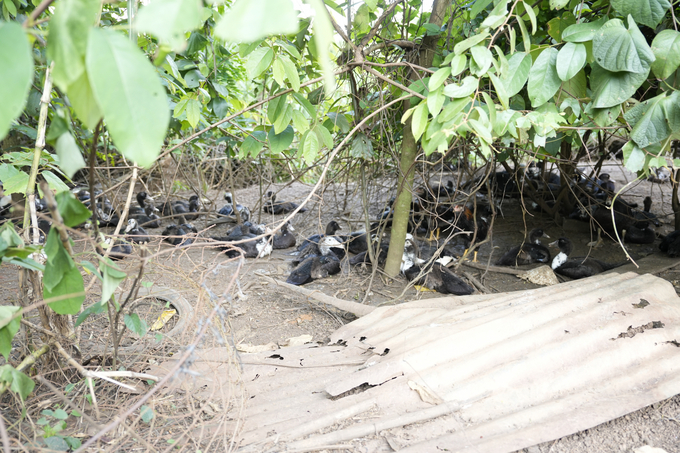 dsc0463-1530_20221218_450.jpg DSC0463