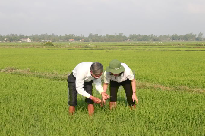 15461046can_bo_chi_cuc_trong_trot_va_bvtv_kiem_tra_sau_benh_hai_tren_ruong_lua_6350-154611.jpg Empty