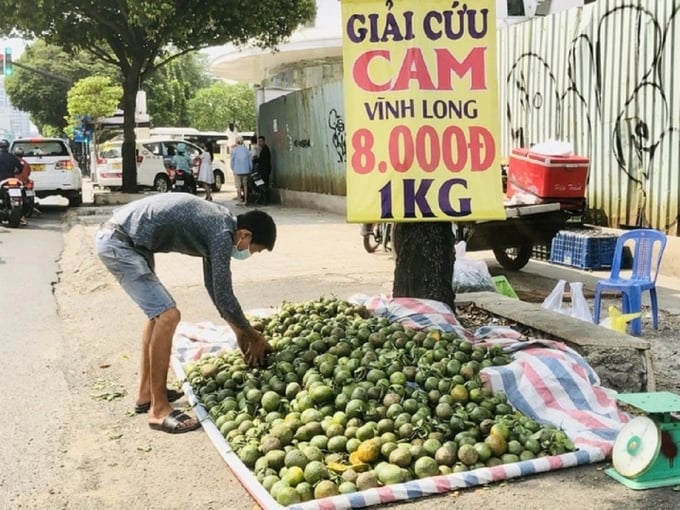 gui-bai-viet-ve-cay-cam-1618_20230219_606.jpeg 09464058mot_diem_giai_cuu_cam_sanh_gia_re_tai_le_duong_o_tp_hcm-094640